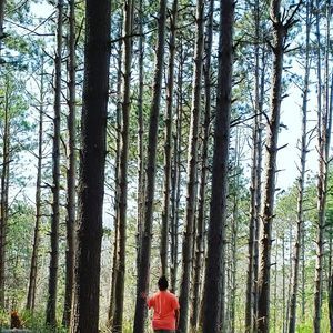 Meet your Posher, Jess